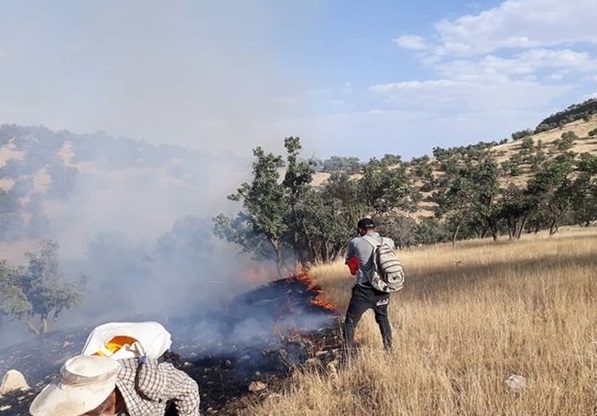 🎥 ویدئو/مهار آتش‌سوزی مراتع منطقه نِئور اردبیل