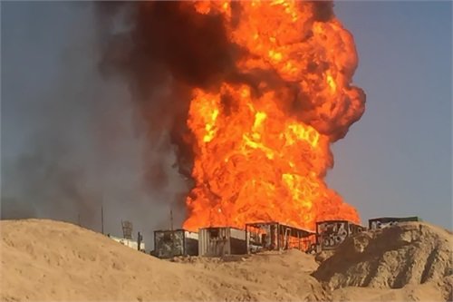 🎥 مستند اژدهای رگ سفید