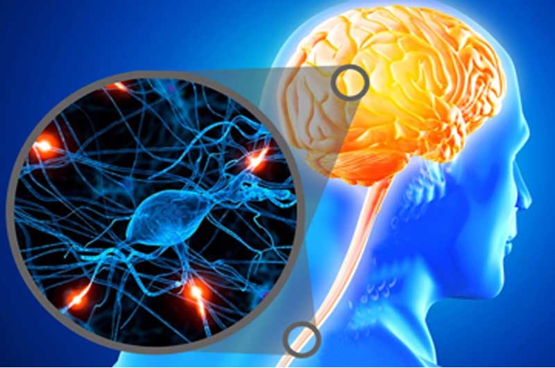 🎥 ویدئو/حدود ۸۵ درصد از سکته‌های مغزی، ناشی از انسداد عروق است