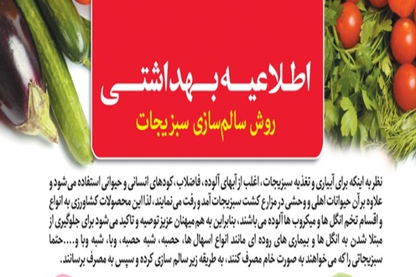 روش سالم سازی و شستشوی صحیح میوه و سبزیجات