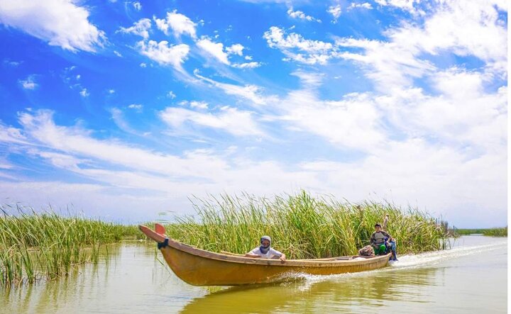 🎥ویدئو/بازگشت زندگی به هورالعظیم