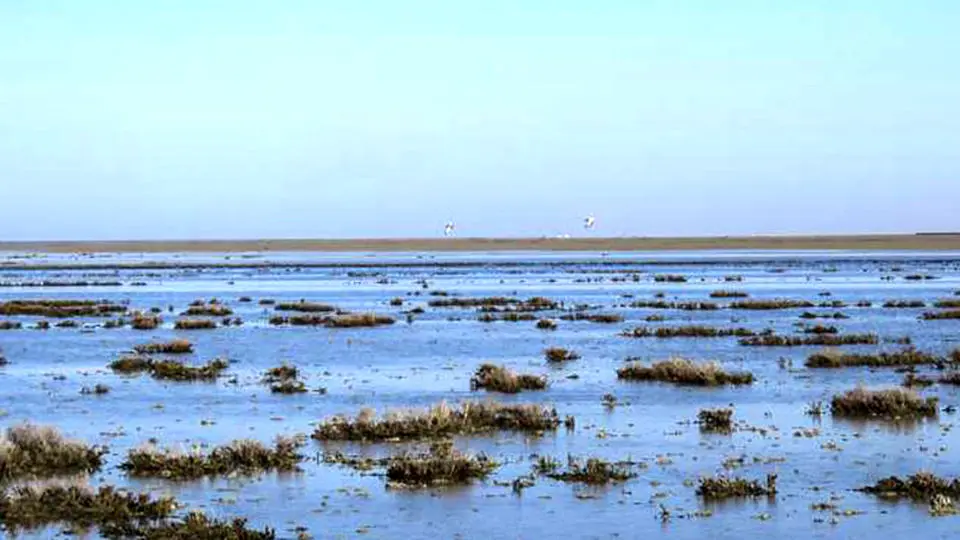 🎥ویدئو/حقابه تالاب‌ها در برنامه هفتم