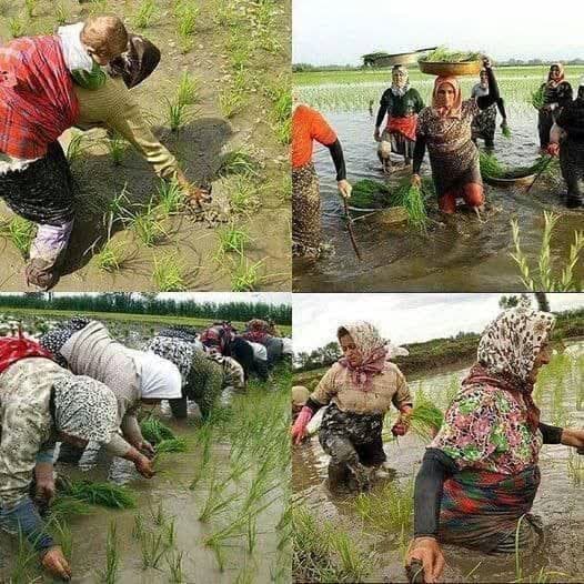 8 مارس روز جهانی زنان