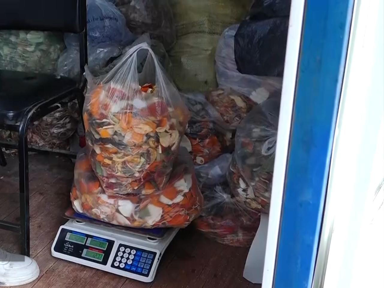 🎥ویدئو/تهیه خوراک دام از پوست و باقی مانده میوه و سبزی‌ها