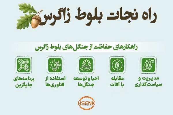اینفوگرافیک / راه نجات بلوط زاگرس