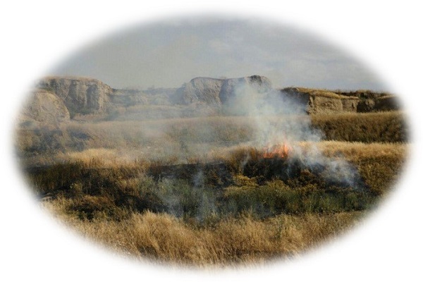 درس آموزی از حوادث – آشنایی با خطرات افروختن آتش در محوطه
