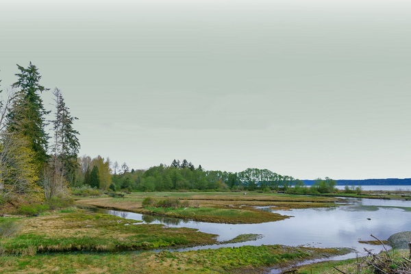 اینفوگرافیک / وضعیت نگران کننده تالاب‌ها در ایران