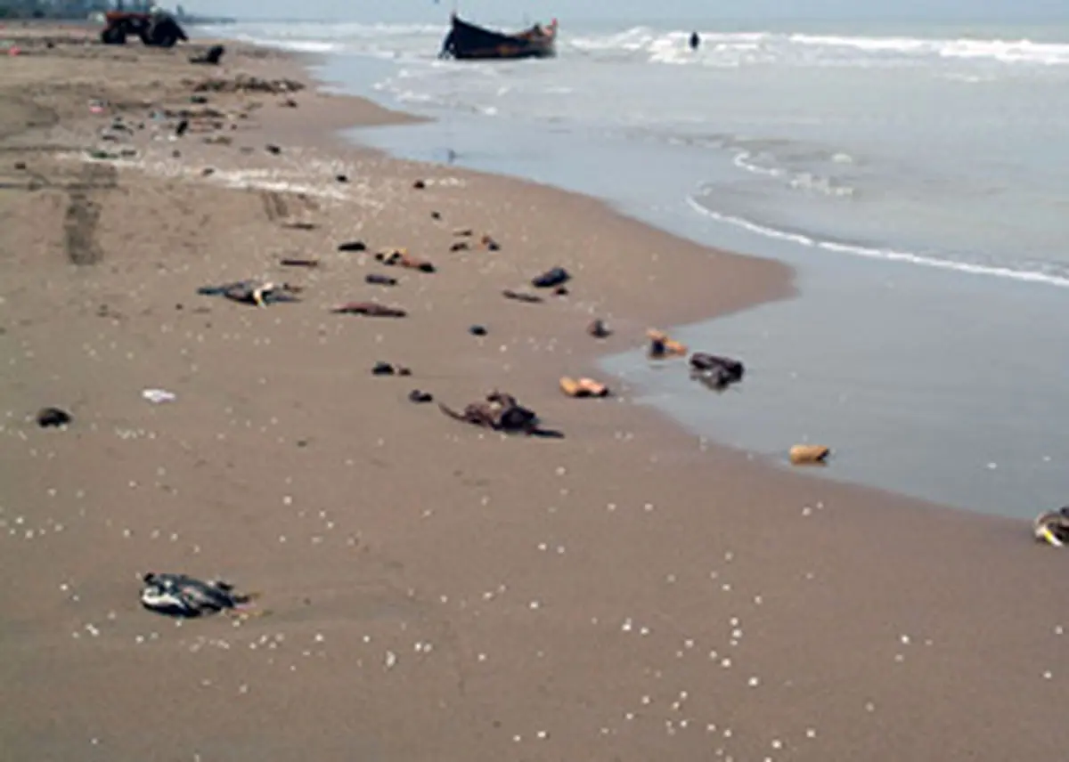 کاهش یک متر از تراز آب دریای خزر تنها در ۵ سال!